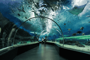 Aquarium
